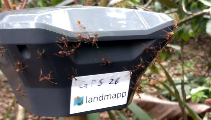 Reach RS is helping to unlock land value in Ghana