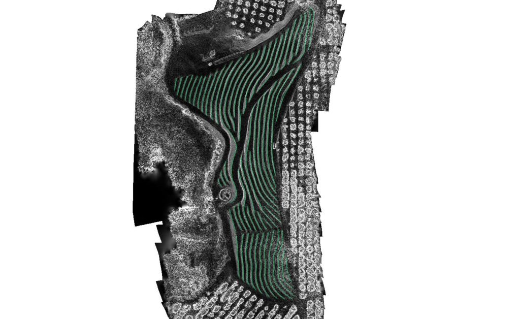 Tree position