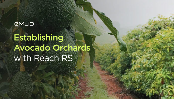 Establishing Avocado Orchards with Reach RS