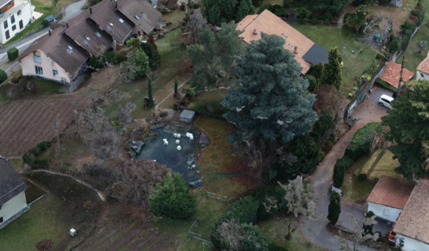 Topodrone workflow 